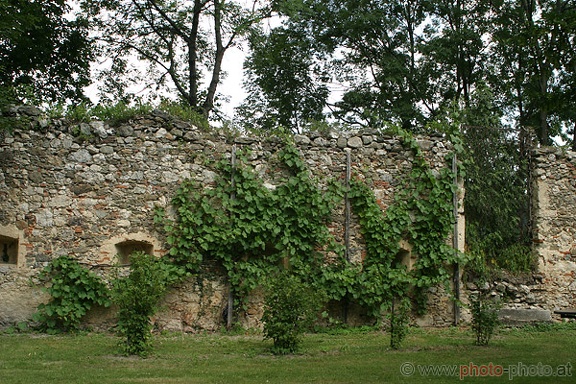 Burg Kranichberg (20060722 0017)